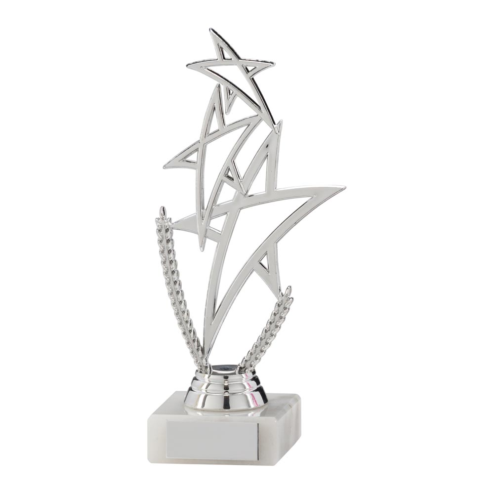 Rising Star Multi-Sport Trophy