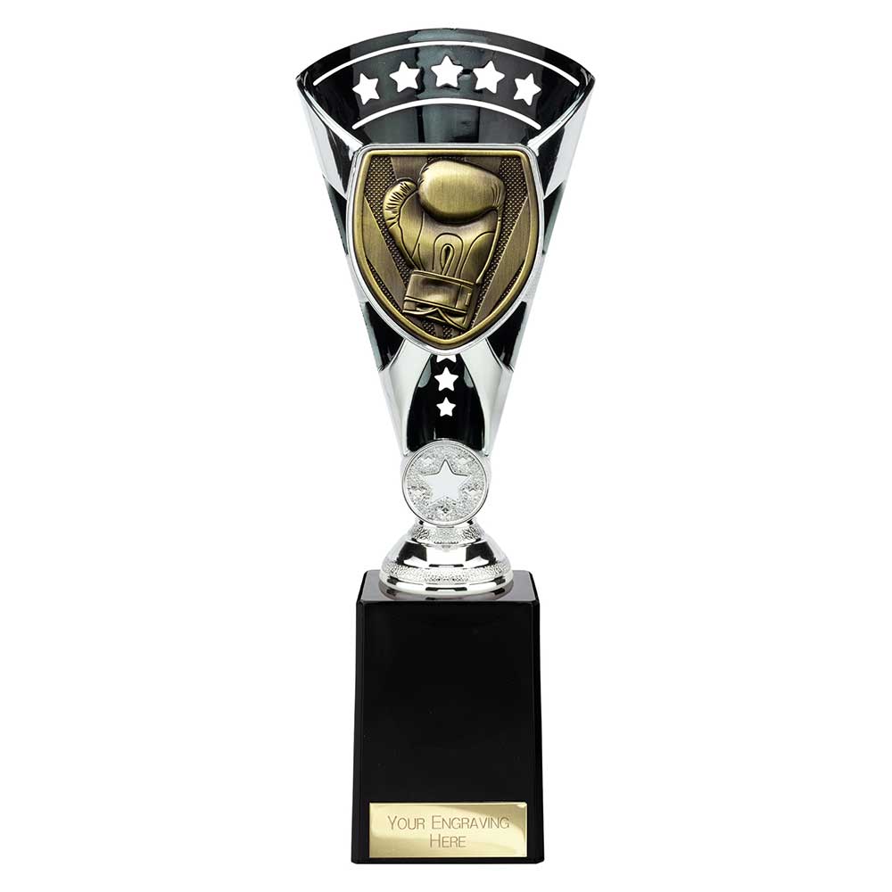 Cobra Star Cup Boxing