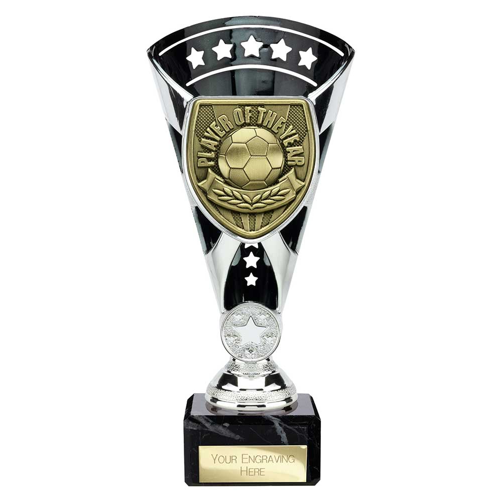 Cobra Star Cup Player of Year