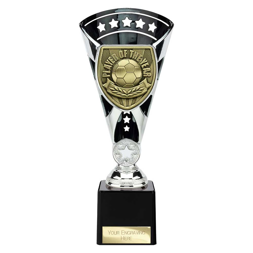 Cobra Star Cup Player of Year