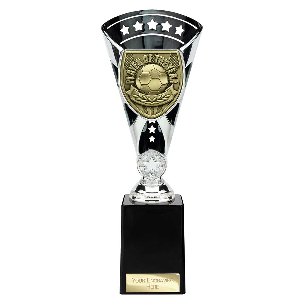 Cobra Star Cup Player of Year
