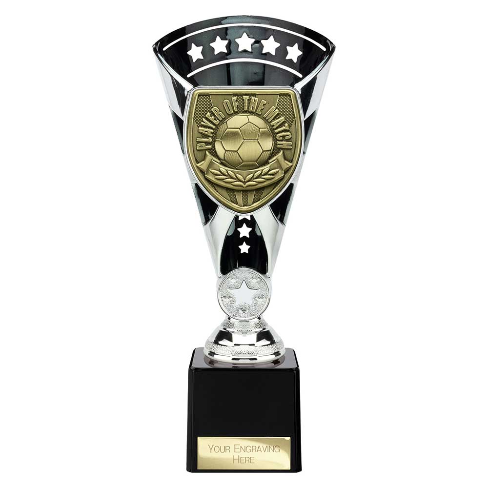 Cobra Star Cup Player of Match