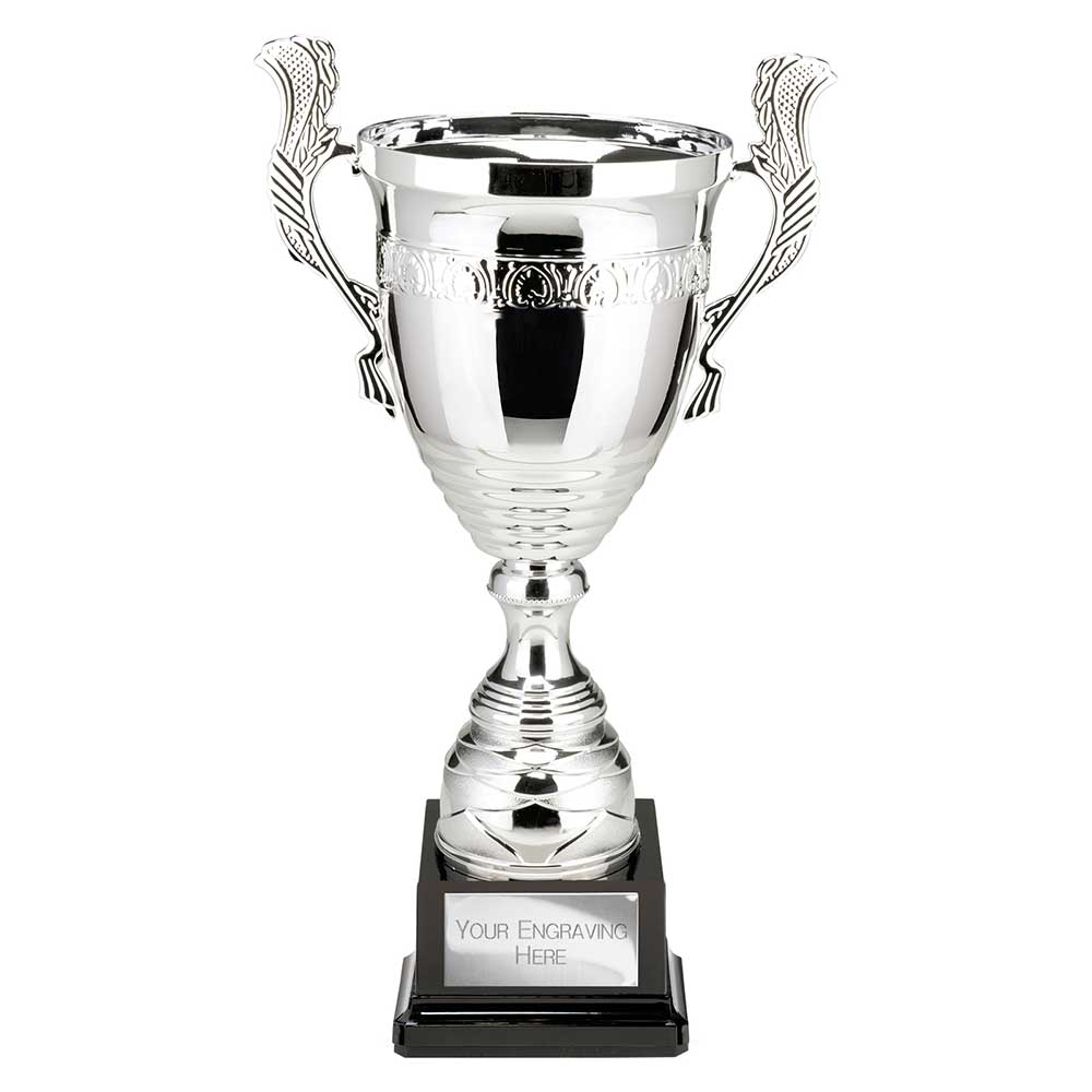 Endeavour Super Cup