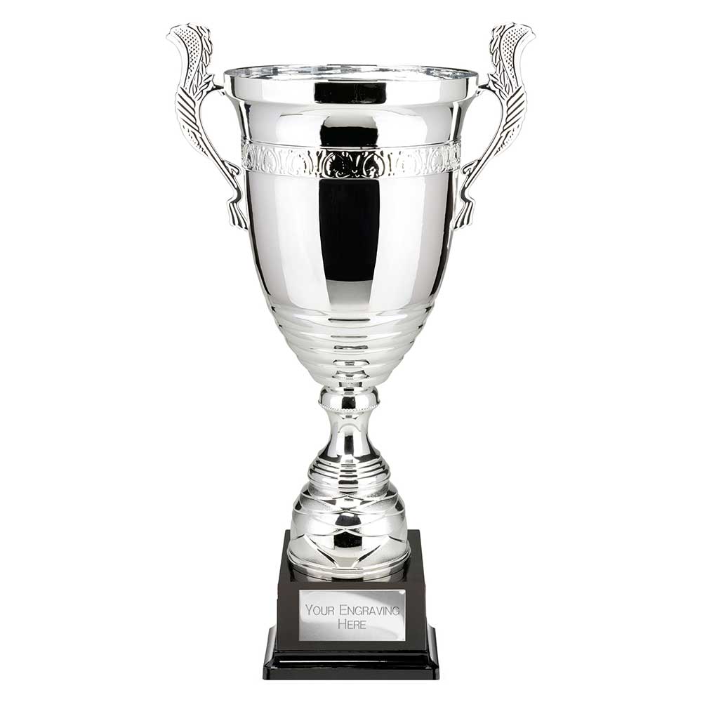Endeavour Super Cup