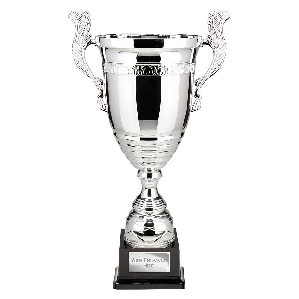 Endeavour Super Cup