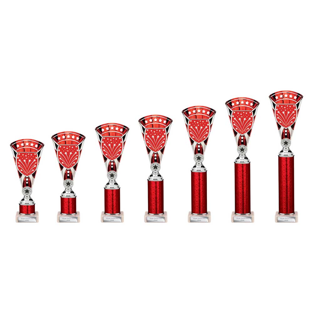 Cobra Star Multisport Cup Silver & Red