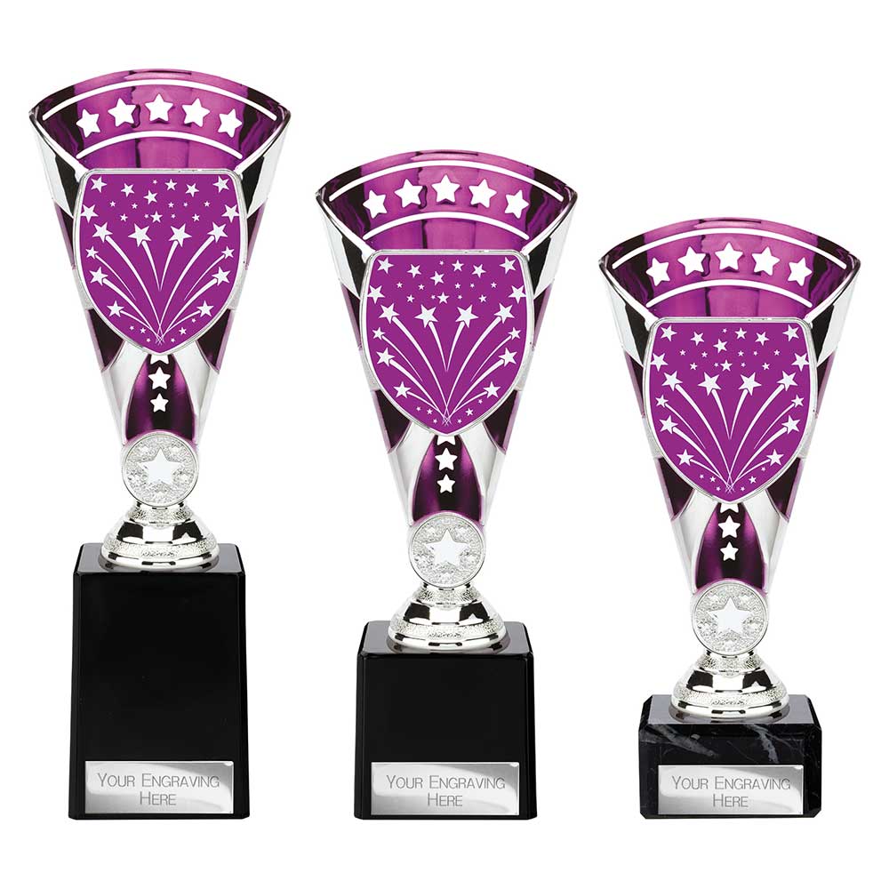 Cobra Star Multisport Cup Silver & Purple