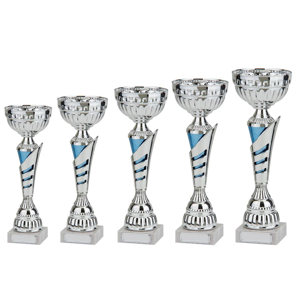 Vanquish Silver & Blue Cup