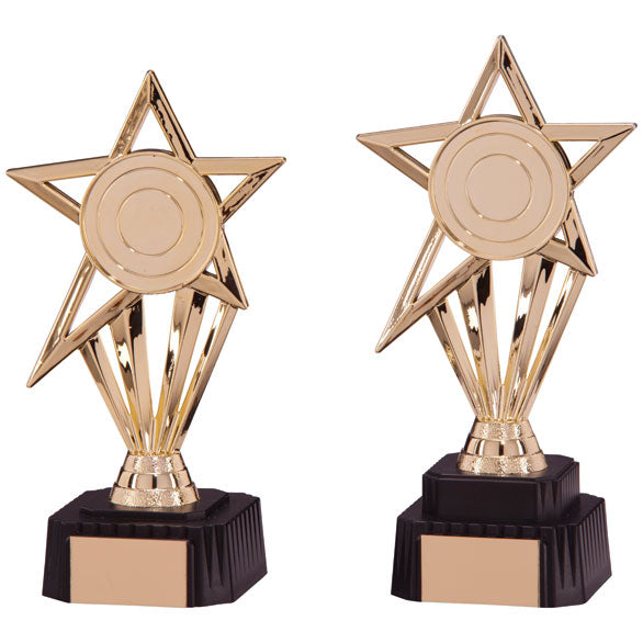 High Star Gold Award