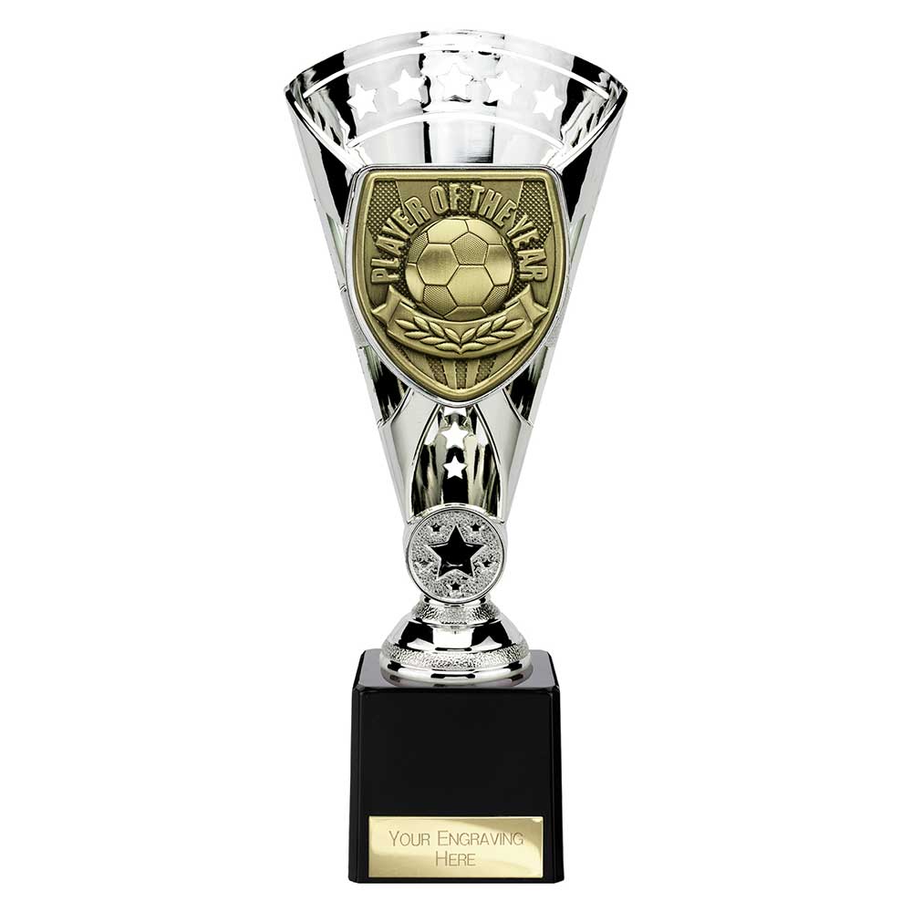 Cobra Star Cup Player of Year