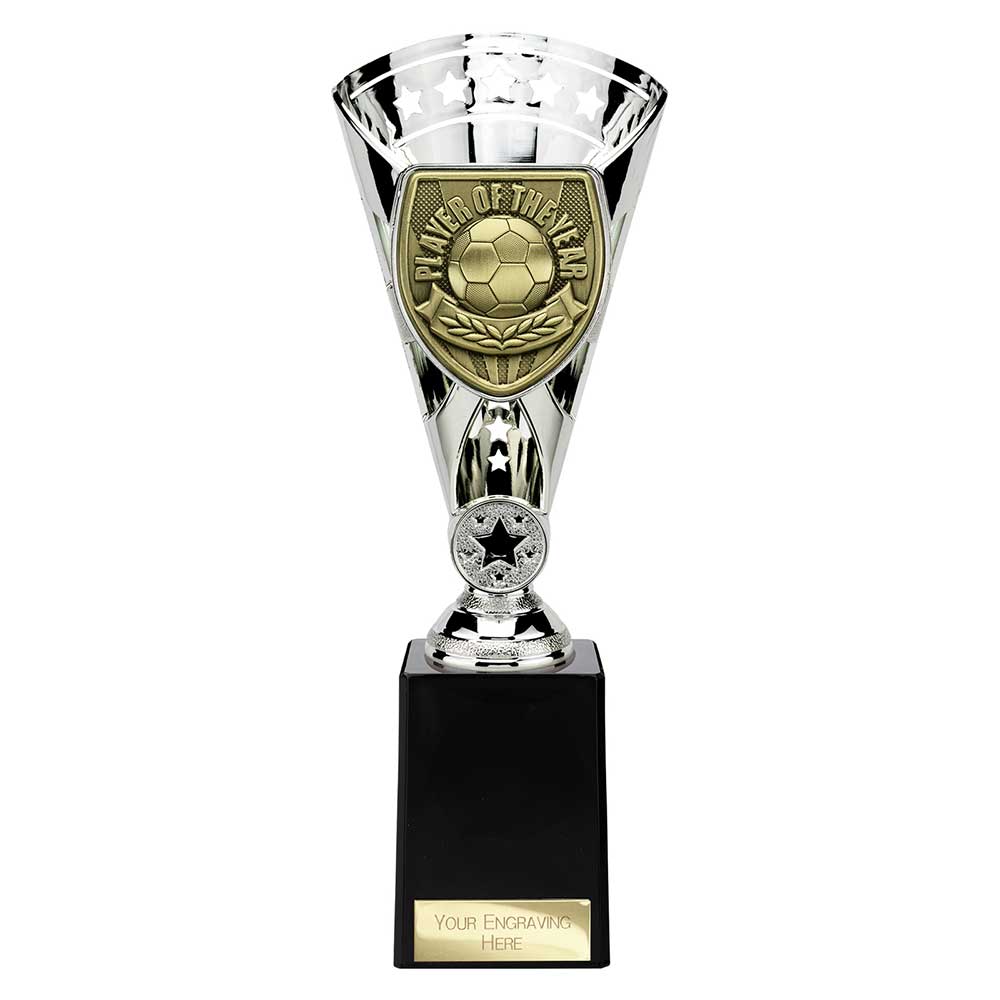 Cobra Star Cup Player of Year