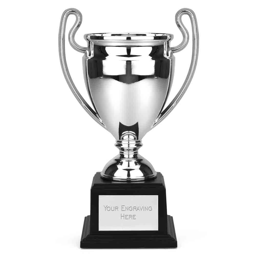 Mirror Cup Monument Award 16.5cm (6 1/2")