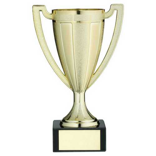 GOLD PLASTIC STIPPLED TROPHY CUP WITH PLATE