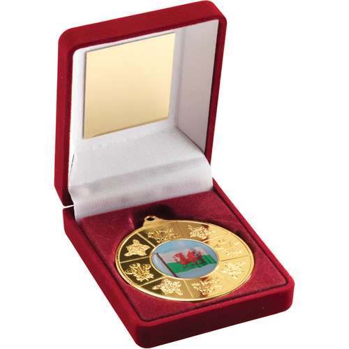RED VELVET BOX AND 50mm GOLD MEDAL WALES TROPHY (1in CENTRE) - 3.5in
