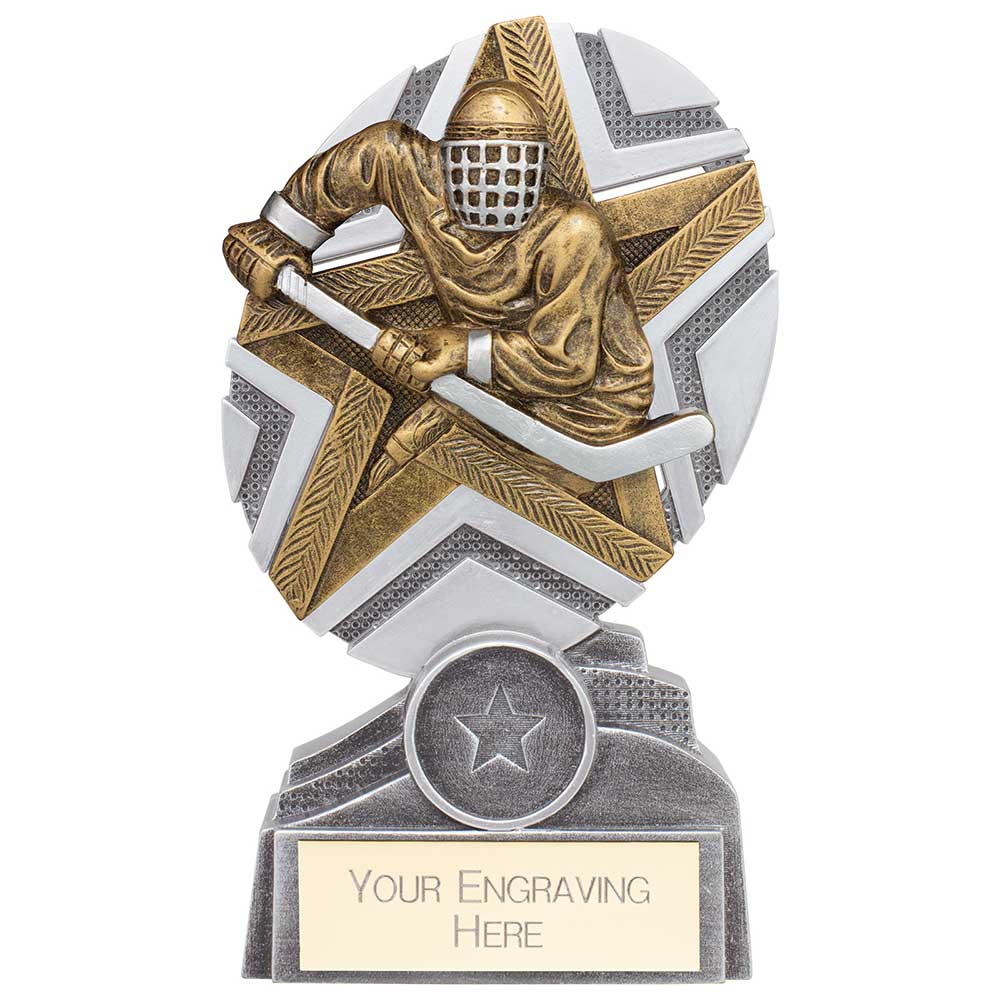 The Stars Ice Hockey Plaque Award