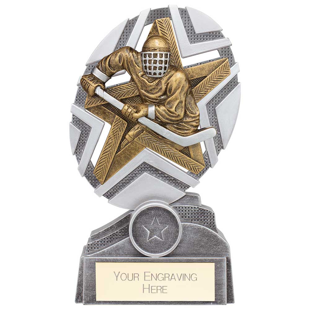 The Stars Ice Hockey Plaque Award