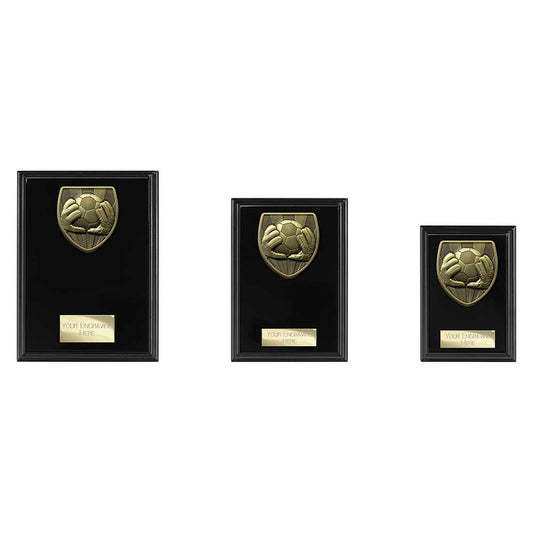 Cobra Plaque Football Goal Keeper Award