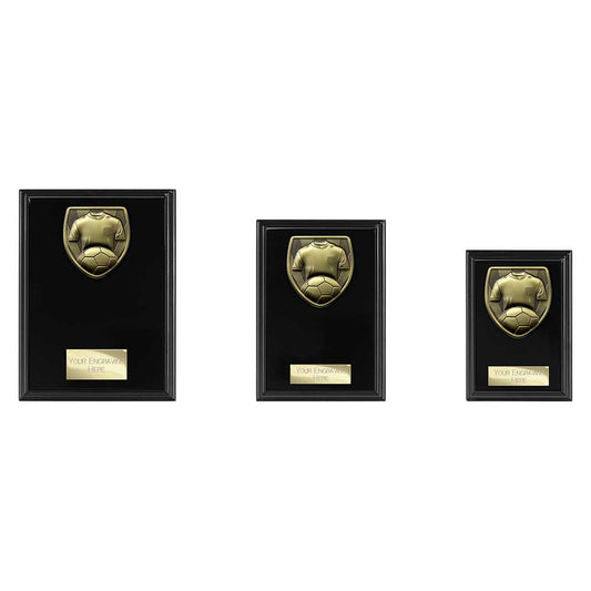 Cobra Plaque Football Shirt & Ball Award
