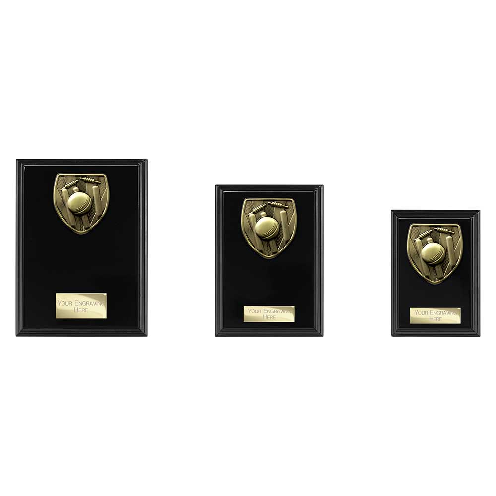 Cobra Plaque Cricket Award