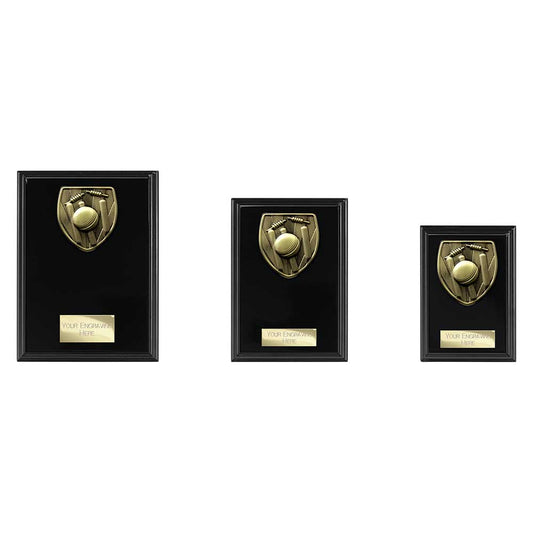 Cobra Plaque Cricket Award