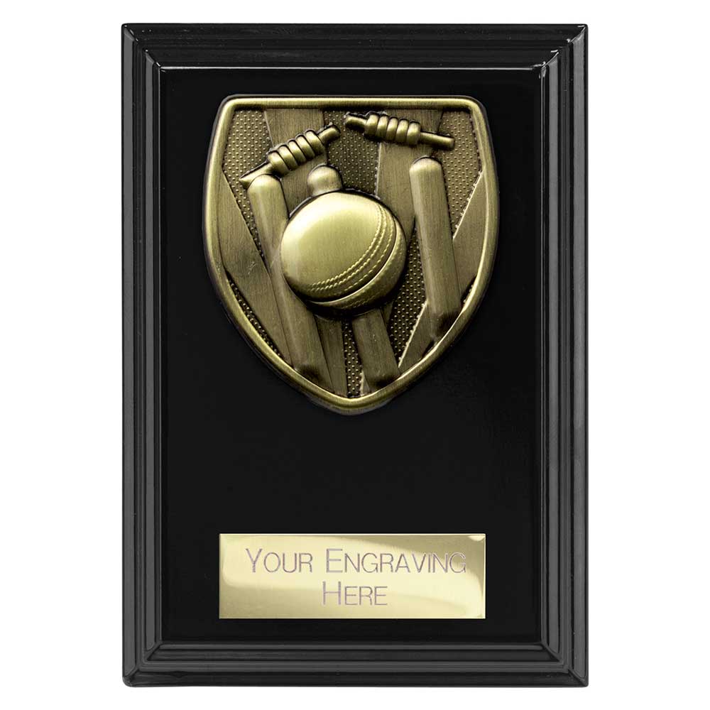 Cobra Plaque Cricket Award