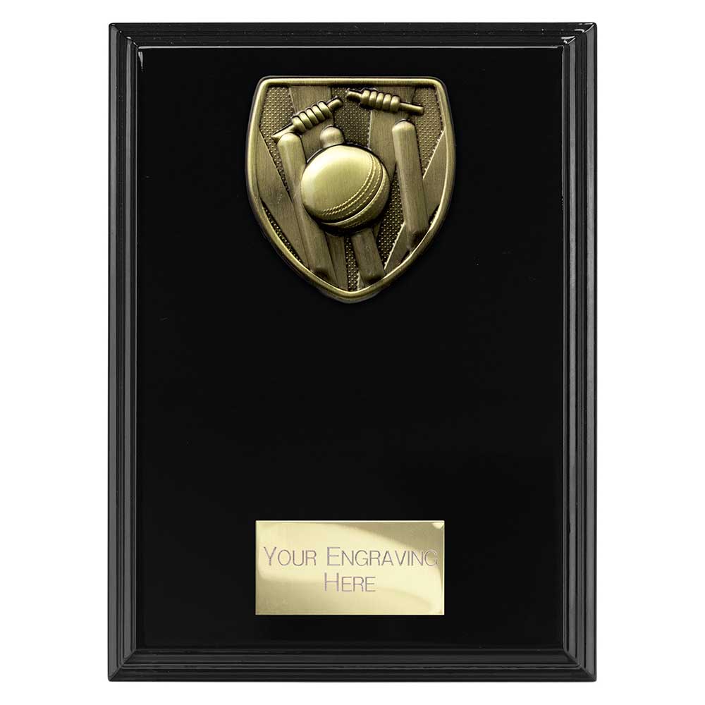 Cobra Plaque Cricket Award