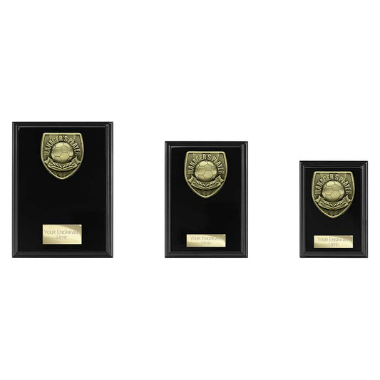 Cobra Plaque Managers Player Award