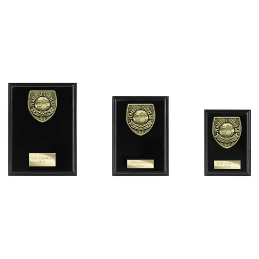 Cobra Plaque Player of Year Award