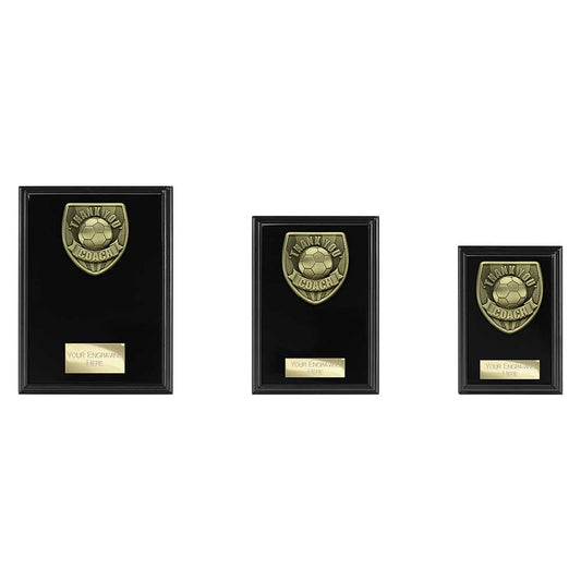 Cobra Plaque Thank you Coach Award