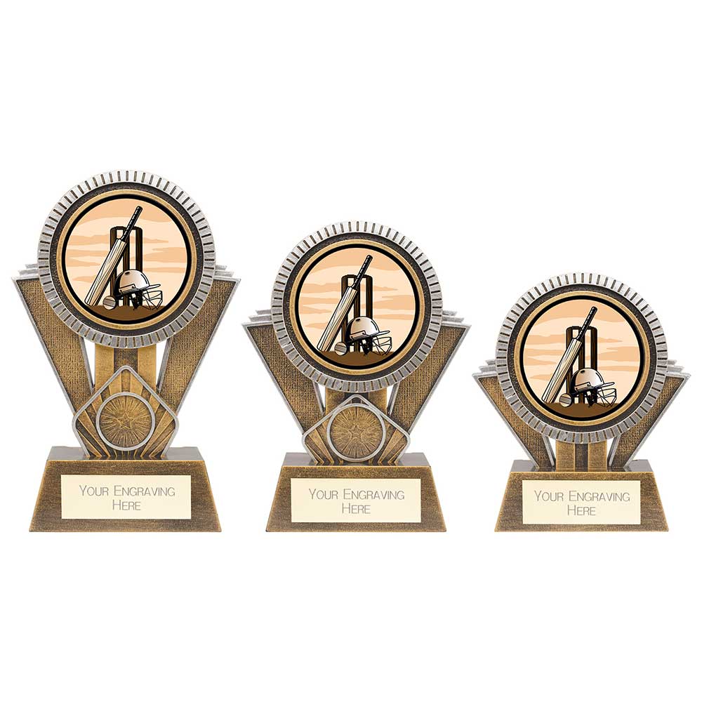 Apex Cricket Award Gold & Silver