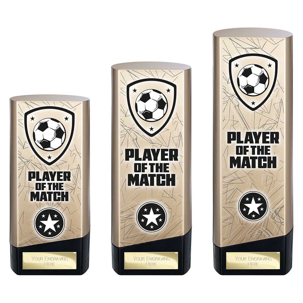 Prime Heavyweight Player of Match