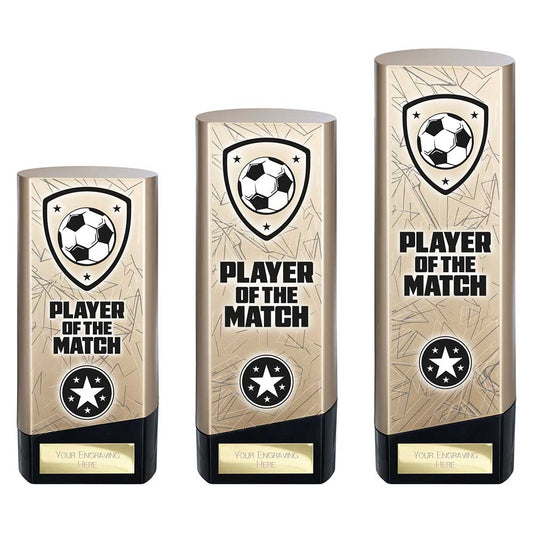 Prime Heavyweight Player of Match