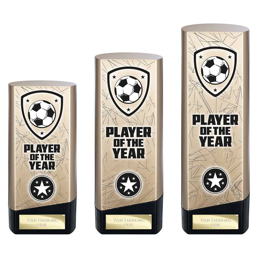 Prime Heavyweight Player of Year