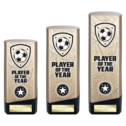 Prime Heavyweight Player of Year
