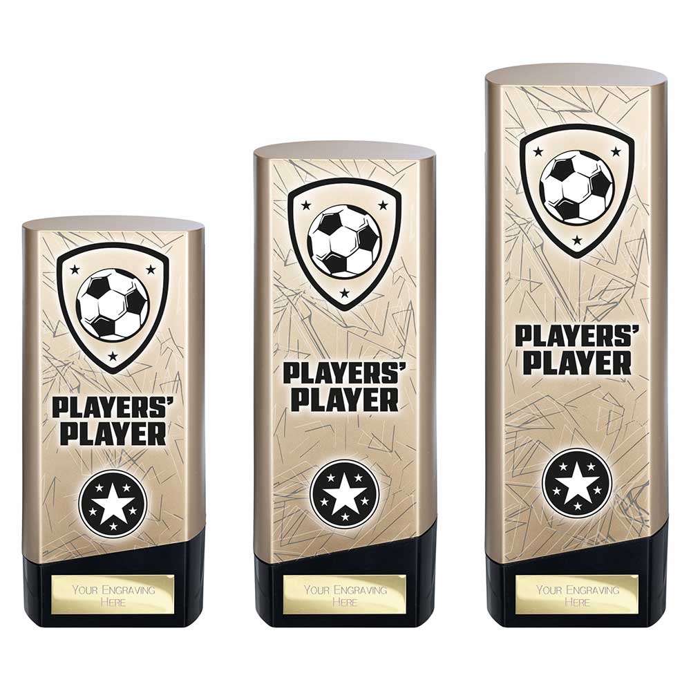 Prime Heavyweight Players Player