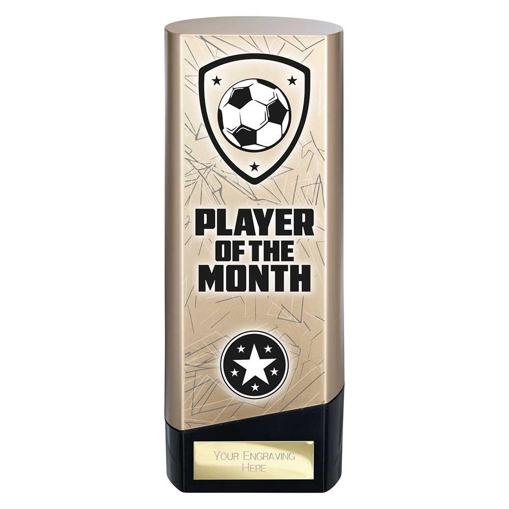 Prime Heavyweight Player of Month