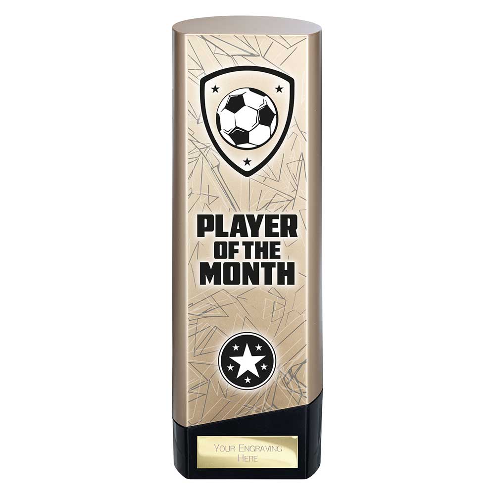 Prime Heavyweight Player of Month