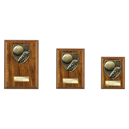Cobra Plaque Football Boot & Ball Award
