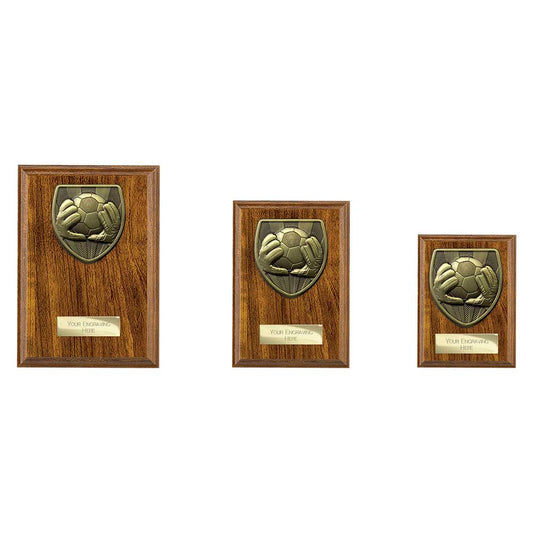 Cobra Plaque Football Goal Keeper Award