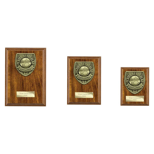 Cobra Plaque Player of Year Award