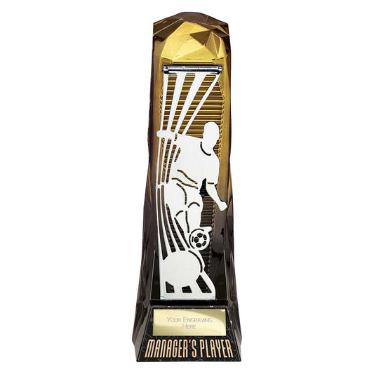 Shard Football Male Managers Player
