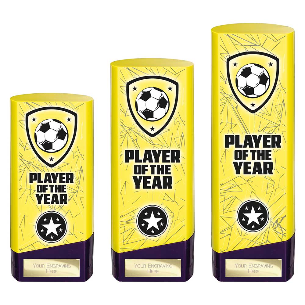 Prime Heavyweight Player of Year