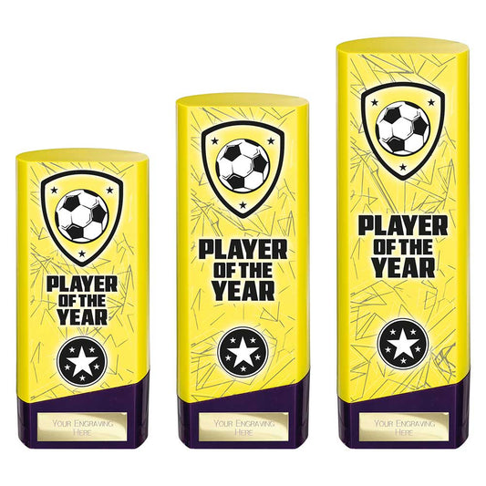 Prime Heavyweight Player of Year