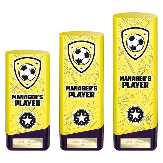 Prime Heavyweight Managers Player