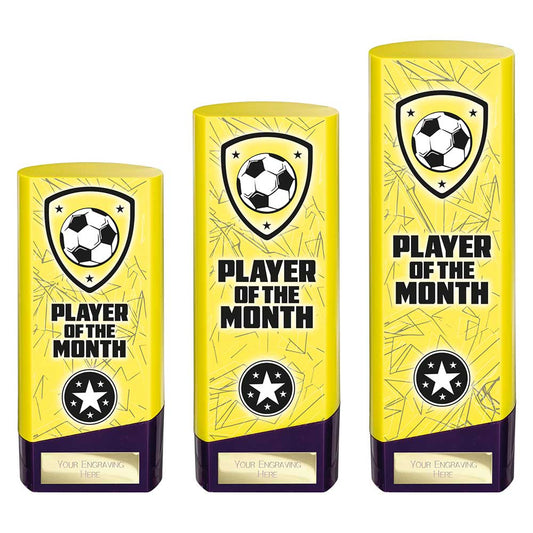 Prime Heavyweight Player of Month