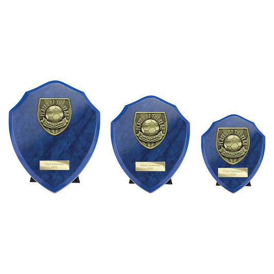 Cobra Shield Player of Year Award