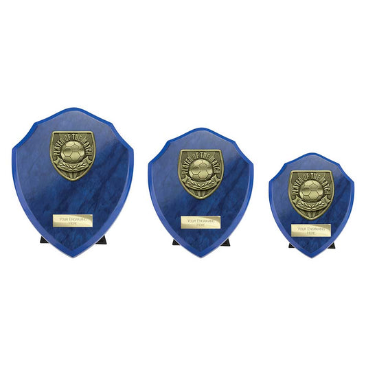 Cobra Shield Player of Match Award