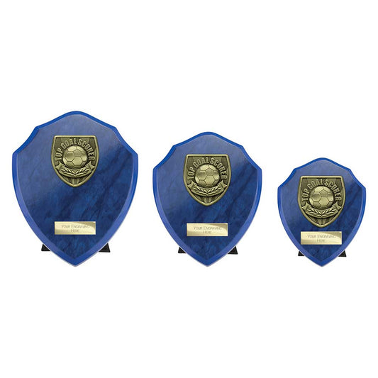 Cobra Shield Top Scorer Award