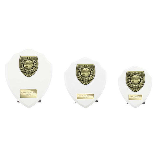 Cobra Shield Player of Year Award