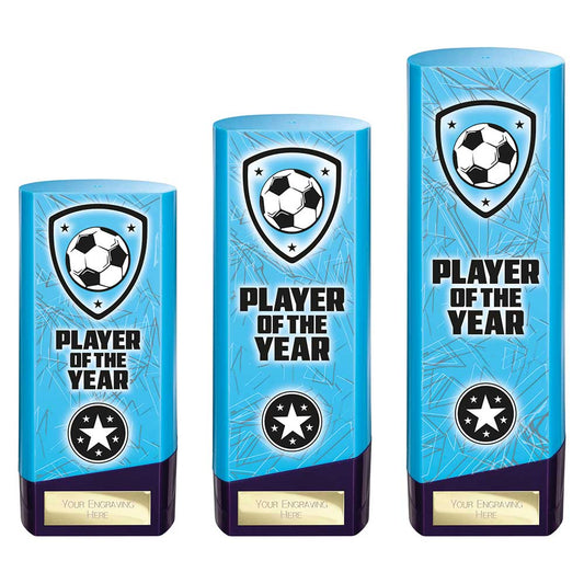Prime Heavyweight Player of Year